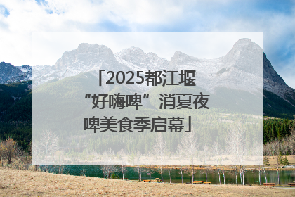 2025都江堰“好嗨啤”消夏夜啤美食季启幕